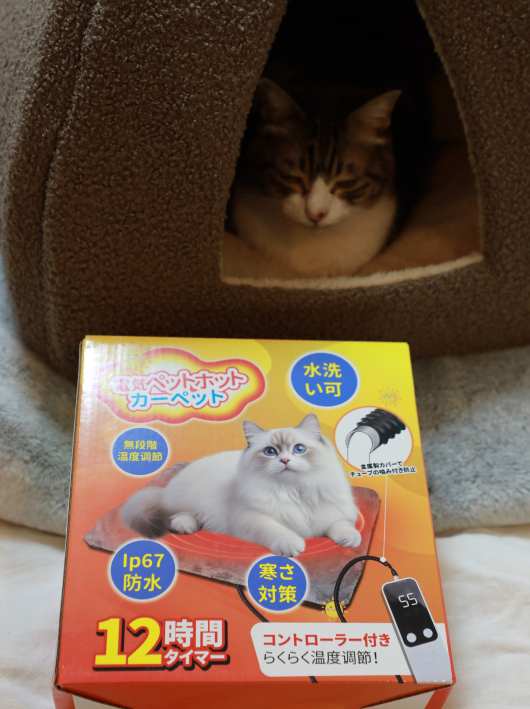 �ŵ��ڥåȥۥåȥ����ڥå�