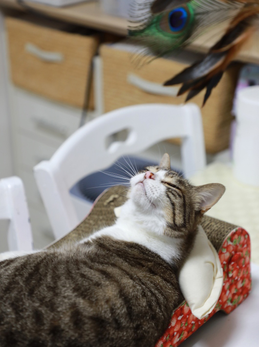 ん? ん?