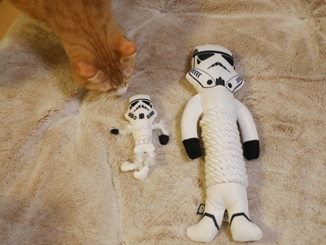 Âç¤È¾®¡£ Âç¤È¾®¡£