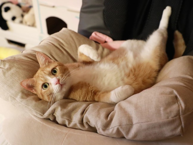 ¤Á¤ç¤¦¤É¤¤¤¤¤Î¡£ ¤Á¤ç¤¦¤É¤¤¤¤¤Î¡£