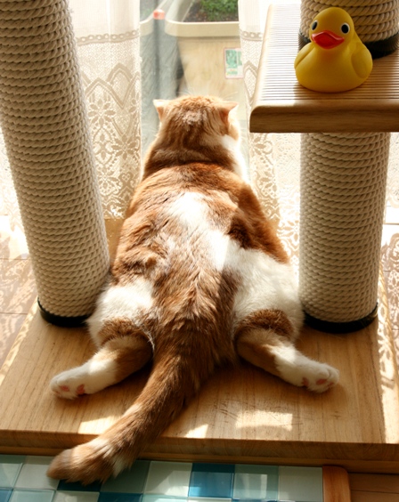 �Ǥ�����