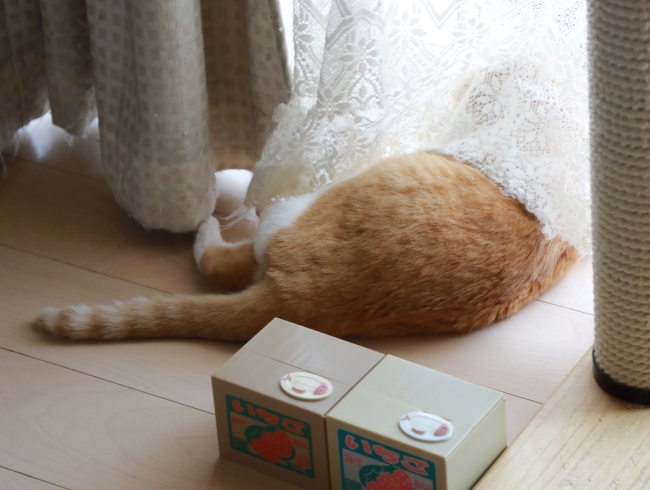 ���Ҥ��ޡ��Ф���