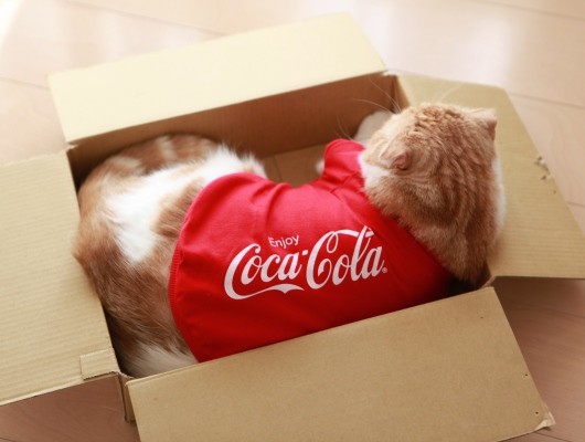 �ѥ���ޡ�
