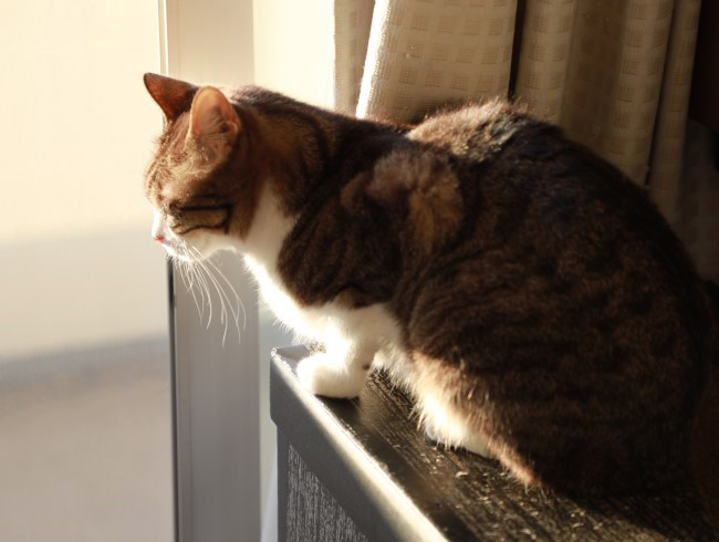 ���־�����