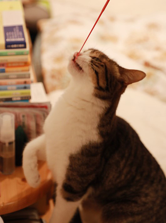 ¤°¤¤¡¼¤ó¡£ ¤°¤¤¡¼¤ó¡£