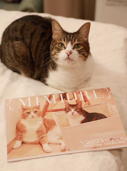 ¤¢¤ê¤¬¤È¤¦¤´¤¶¤¤¤Þ¤¹¡ª ¤¢¤ê¤¬¤È¤¦¤´¤¶¤¤¤Þ¤¹¡ª