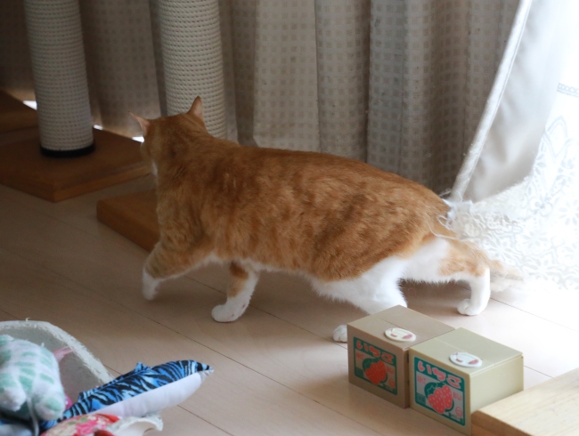 ¤Ê¡¼¤ó¤À¡£ ¤Ê¡¼¤ó¤À¡£