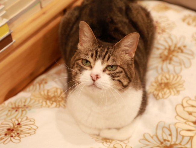 ̲¤¤¤·¡£ ̲¤¤¤·¡£