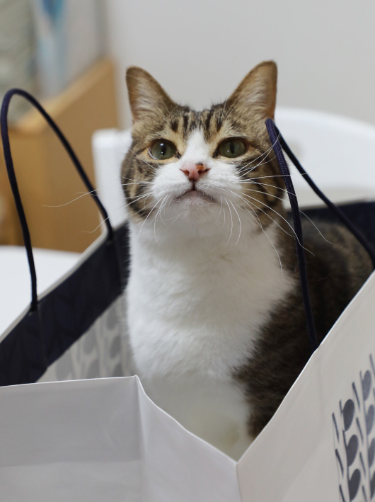 ¤½¤ì¤Ê¤¢¤Ë¡© ¤½¤ì¤Ê¤¢¤Ë¡©