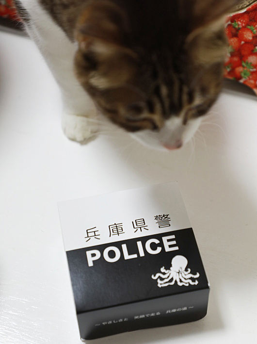 ¤³¤ì¤Ê¤¢¤Ë¡© ¤³¤ì¤Ê¤¢¤Ë¡©