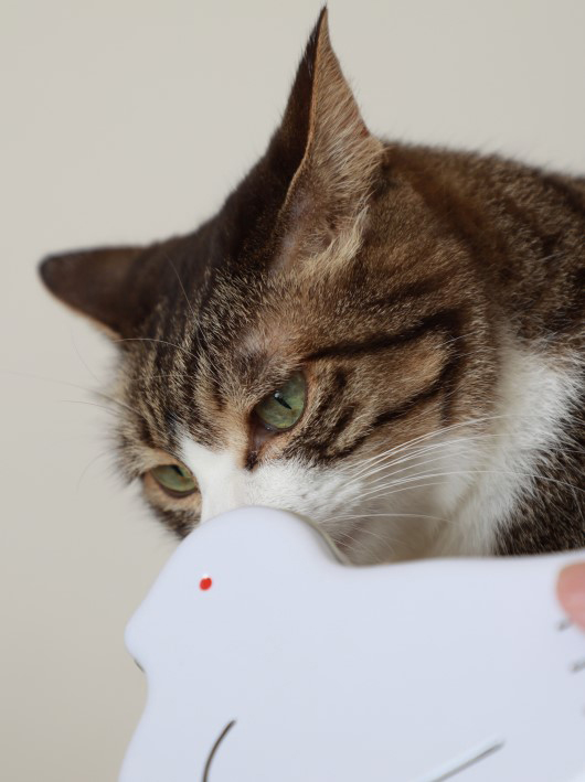 ¤¹¤ó¤¹¤ó¡£ ¤¹¤ó¤¹¤ó¡£