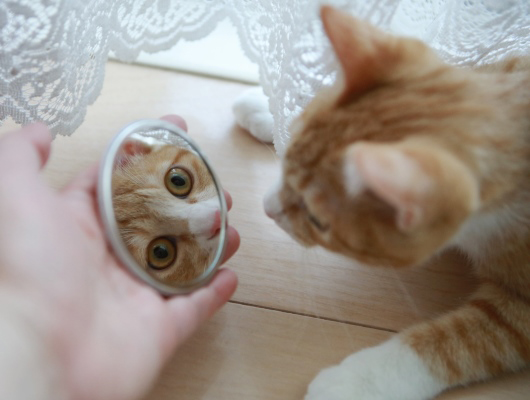 狼¤¤¤ë¡ª¡© 狼¤¤¤ë¡ª¡©