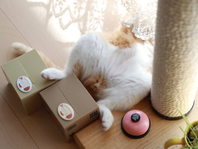 ¤Ð¡¼¤ó¡£ ¤Ð¡¼¤ó¡£