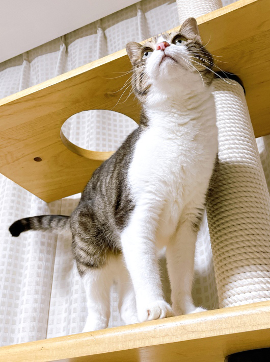 ���ä���