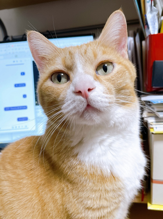 ¤¹¤ó¤¹¤ó¤¹¤ó¡£ ¤¹¤ó¤¹¤ó¤¹¤ó¡£