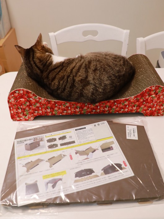 ¤¯¤Ä¤í¤®Ãæ¡£ ¤¯¤Ä¤í¤®Ãæ¡£