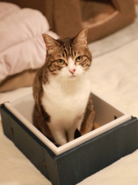 �Ϥ䤯����