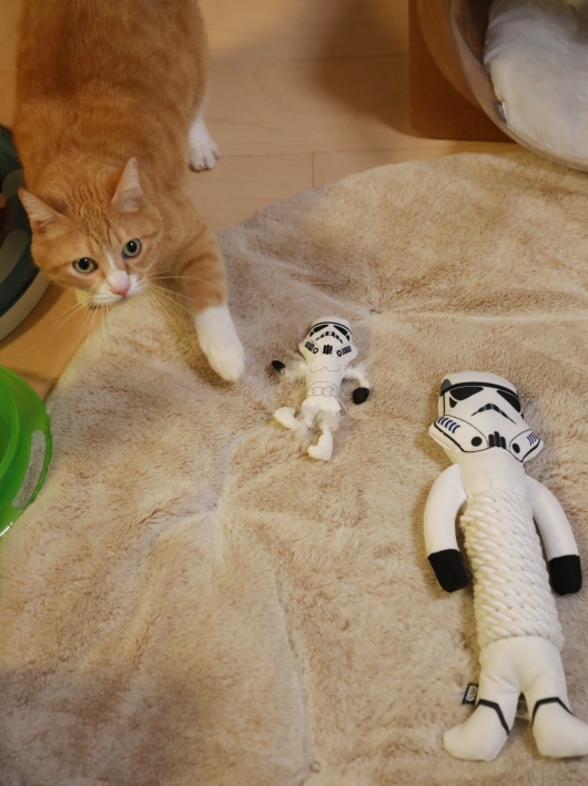 ±¿¤Ó¤ä¤¹¤¤¤«¤é¡ª¡© ±¿¤Ó¤ä¤¹¤¤¤«¤é¡ª¡©