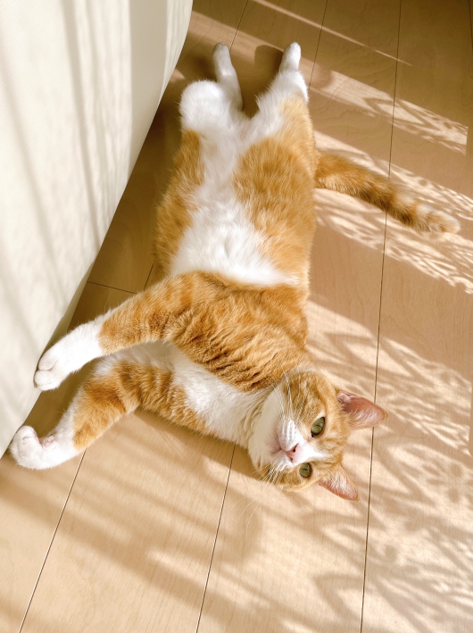 �ޤä��ꡣ