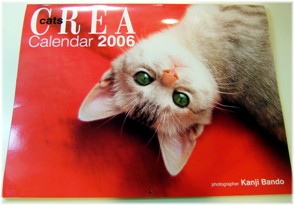 ���쥢����������