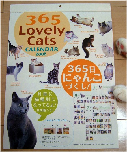 ���˥��५��������