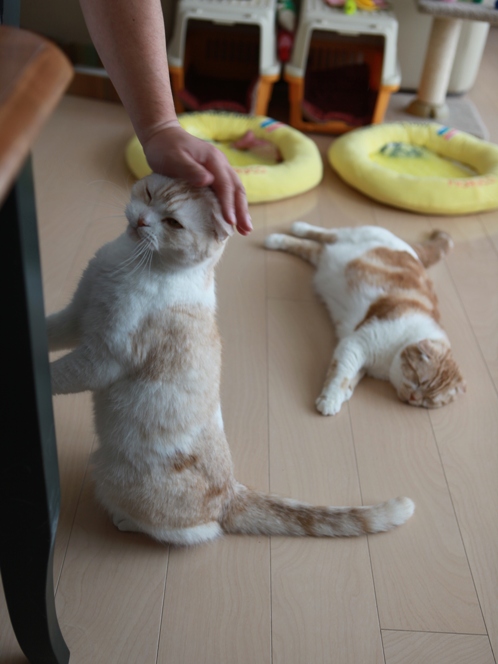 �ʥǥʥǤ⤤�����ɤ�����