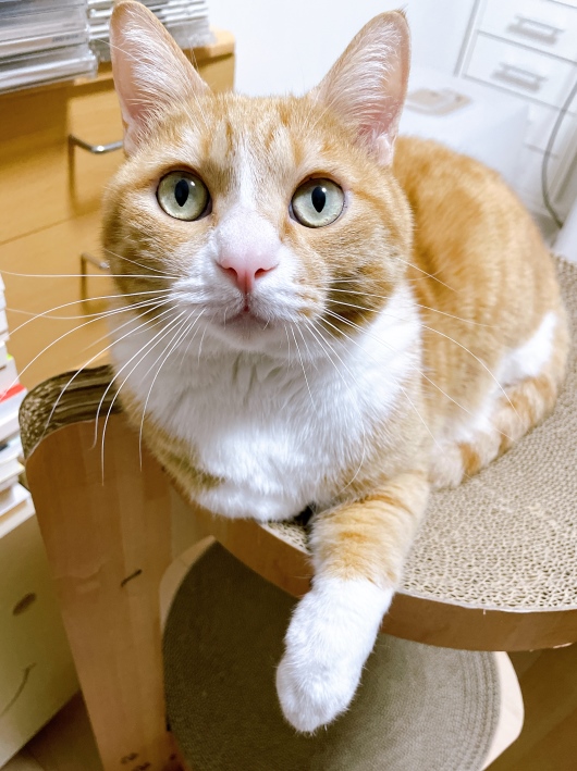 ���դ��ʤ��ǡ�