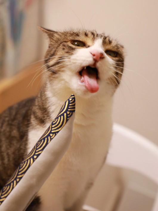 ¤¦¤Ò¤ç¡¼¢ö ¤¦¤Ò¤ç¡¼¢ö