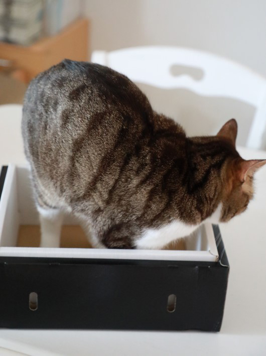 ¤¤¤¿¤À¤¡£ ¤¤¤¿¤À¤¡£