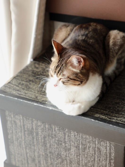 ¤Þ¤Ö¤·¤¤¡£ ¤Þ¤Ö¤·¤¤¡£