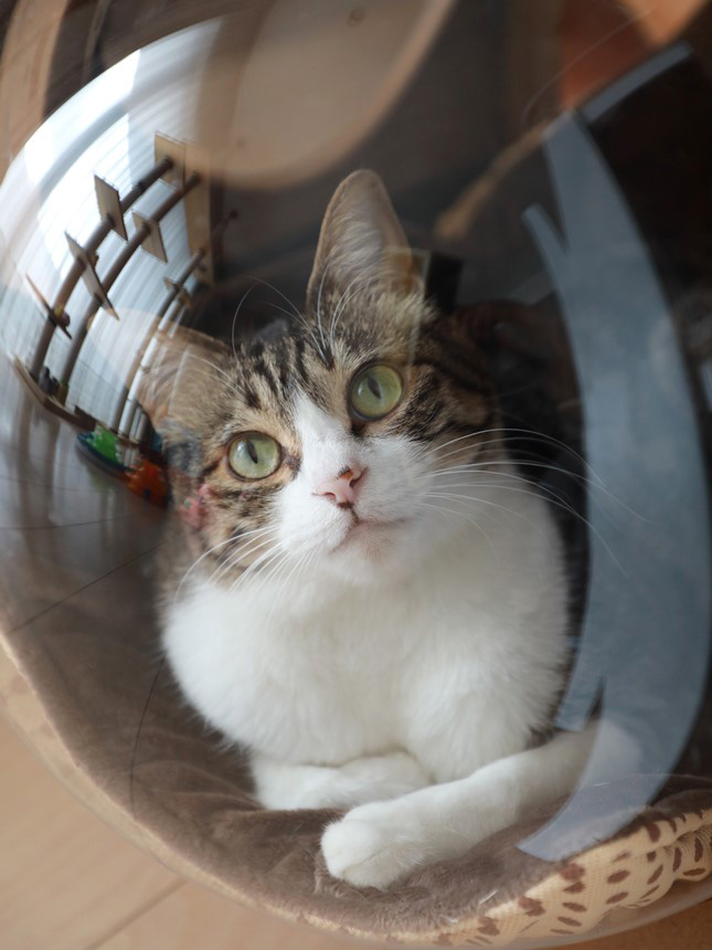 ¥¢¥ß¡¢¤³¤ì¹¥¤¢ö ¥¢¥ß¡¢¤³¤ì¹¥¤¢ö