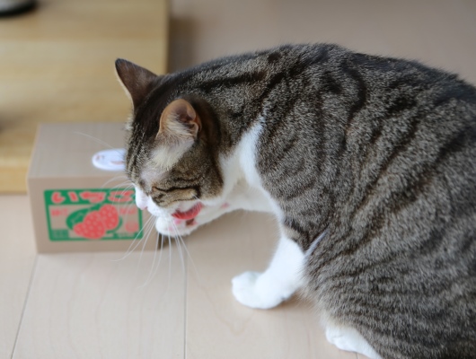 ¿È¤À¤·¤Ê¤ßÀ°¤¨Ãæ¡£ ¿È¤À¤·¤Ê¤ßÀ°¤¨Ãæ¡£