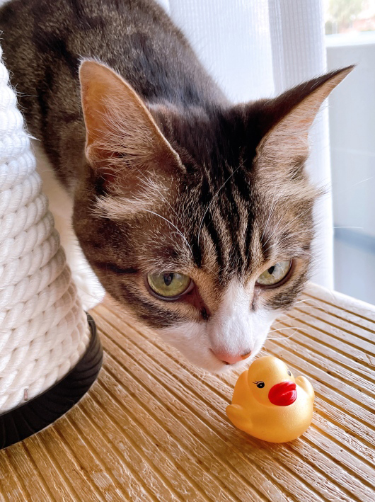 ¿·Æþ¤ê¡© ¿·Æþ¤ê¡©