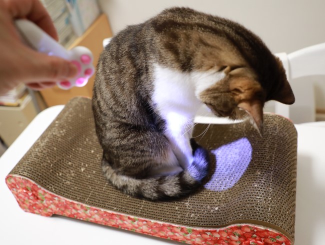 ���ä���