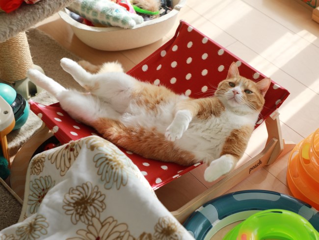 ¤à¤Õ¡Á¤ó¡£ ¤à¤Õ¡Á¤ó¡£