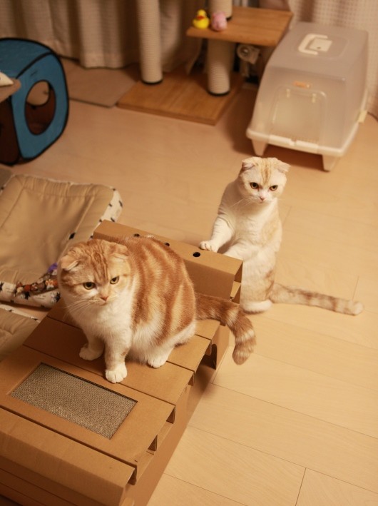 �Ф뤫�ʡ�����ġ�