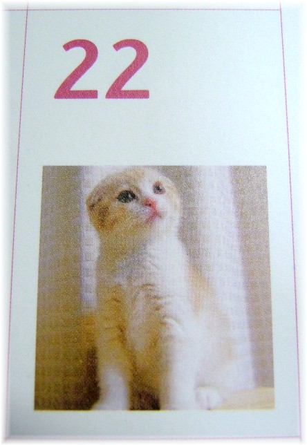 ���˥��५��������