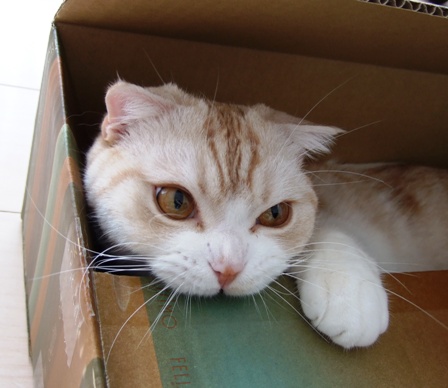 ��ӤΤ��ޤꡦ����