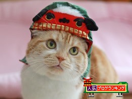 ¥¯¥ê¥Ã¥¯¤Ç¥ß¥ß¥ª¥ì¡£¤ËÅêɼ ¥¯¥ê¥Ã¥¯¤Ç¥ß¥ß¥ª¥ì¡£¤ËÅêɼ