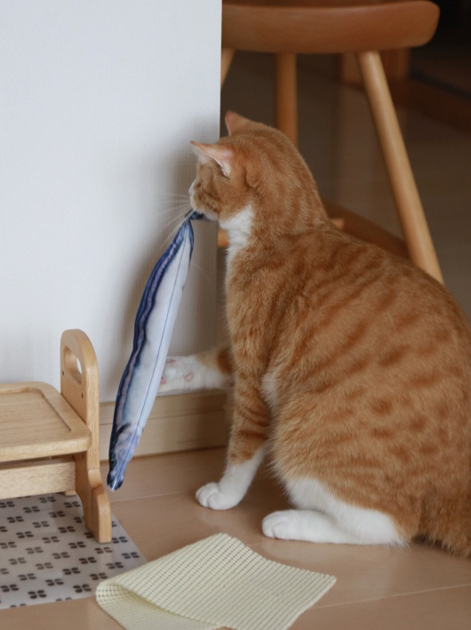 ¤È¤Ã¤¿¤É¡¼¡ª ¤È¤Ã¤¿¤É¡¼¡ª