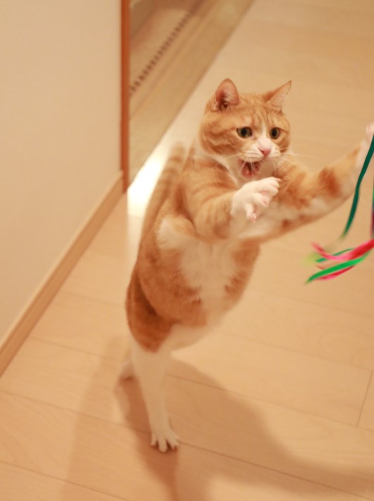 ÂԤäơ¼¡ª ÂԤäơ¼¡ª