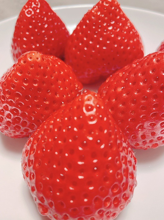 ´Å¤¤¹á¤ê¡£ ´Å¤¤¹á¤ê¡£