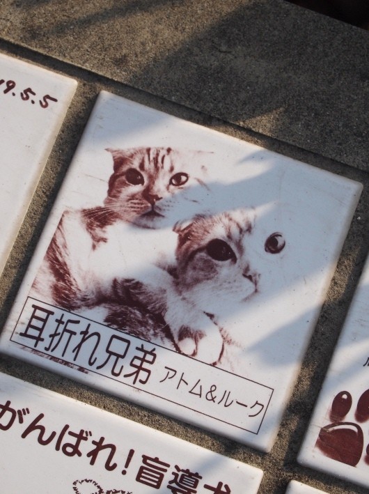 �ٻΥϡ��ͥ��μ��ޤ쥿���롣