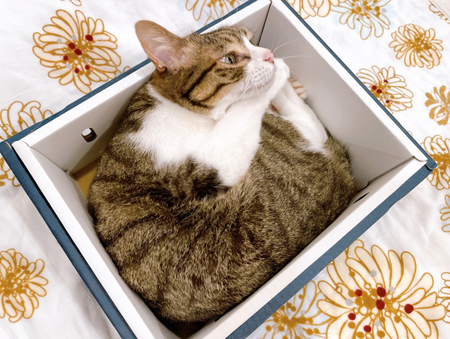 ¤¹¤ë¤¹¤ë¡£ ¤¹¤ë¤¹¤ë¡£