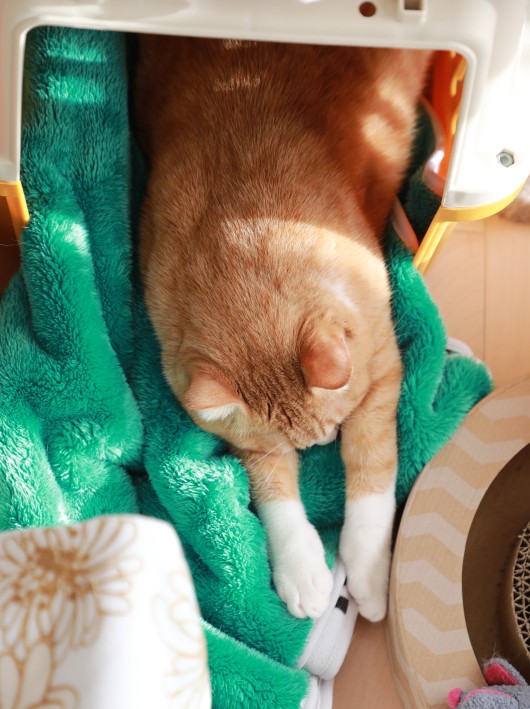 ���ä��ꡣ