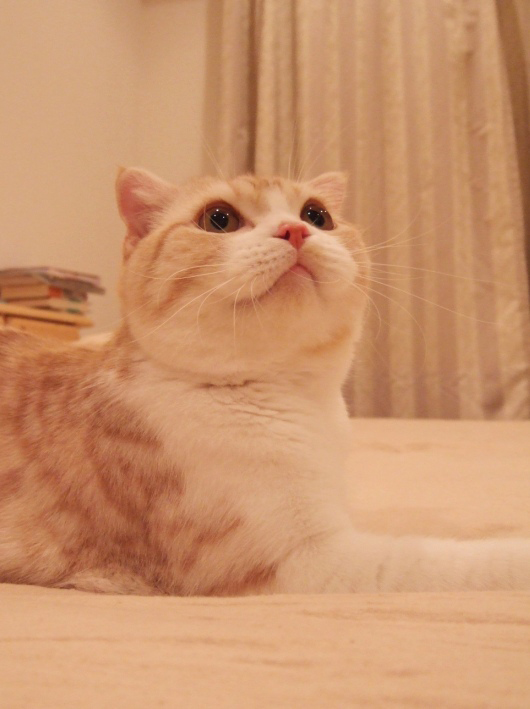 �ޤ�ķ�٤���