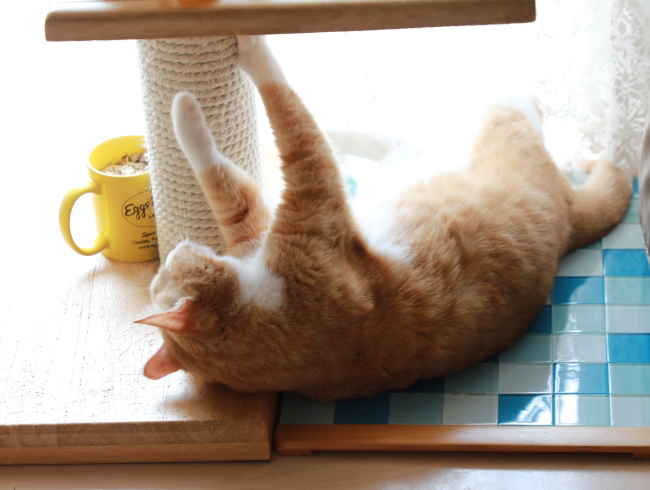 ¤à¤à¤¥¡£ ¤à¤à¤¥¡£