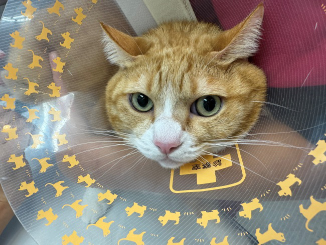 �᤯���ꤿ����