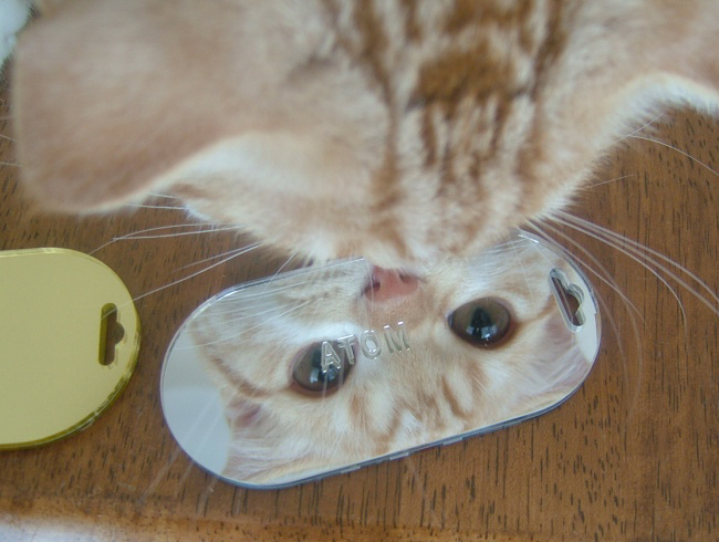 ����ʤ��ˡ�