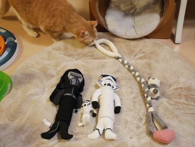 ¤É¤ì¡© ¤É¤ì¡©